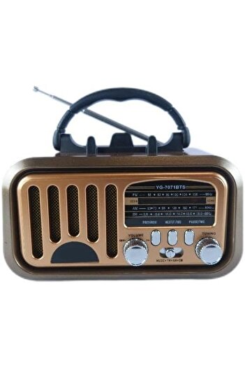 Denx Portable Wireless Bluetooth Speaker with FM/AM Radio, TF Card, USB Drive, AUX, Rechargeable Classic