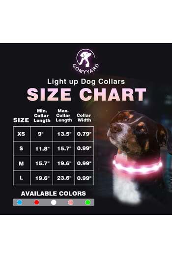 Gomyyard dog collar, LED, nylon, black/pink, size L