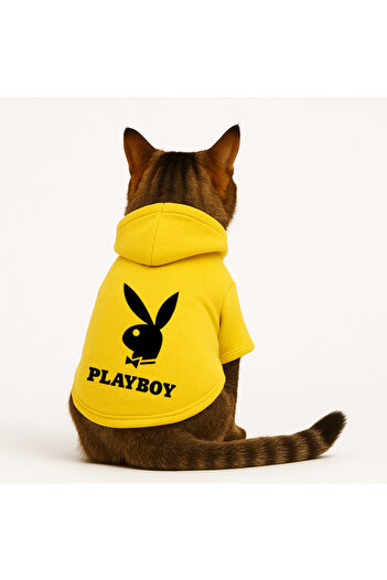 Buddy Store سويت شيرت أصفر بقلنسوة على شكل قطة مطبوع عليه Playboy مقاس XL