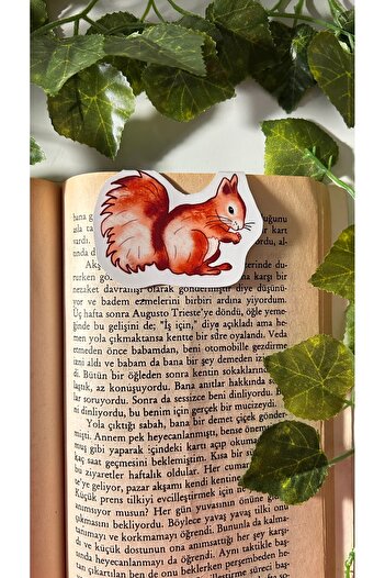 Handeto Kraft Magnet Squirrel Bookmark, Magnet Bookmark Magnet Bookmark, Magnetic Bookmark