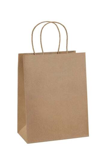 COOYA 100Pcs Paper Gift Bags, Kraft Bags, Suitable for Shopping Party, 8x4.25x10.5 Inches (Brown)