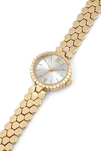 SPECTRUM PREMİUM Spectrum Minimal Case Round Dial Snakeskin Pattern Metal Band Women Wrist Watch