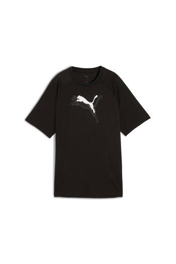 Puma Evostripe Graphic Tee Women Adult T-Shirt