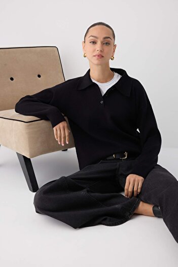 Trendyol Collection Wardrobe Essentials Black*001 Premium/Special Yarn Polo Neck Knitwear Sweater |   Twoaw26Kz000600