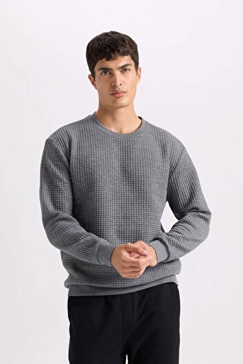 DeFacto Gri Regular Fit Bisiklet Yaka Jakarlı Sweatshirt D5392AX24AU