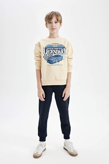 DeFacto Boy's Crew Neck Printed Thick Sweatshirt D3051A824Wn