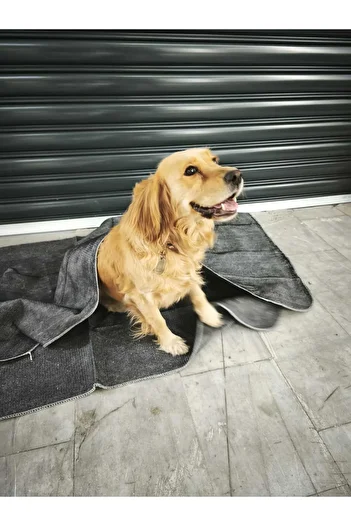 Jutien Cat Dog Blanket -5 Pieces -Price Advantage- Pet Blanket 100X150Cm