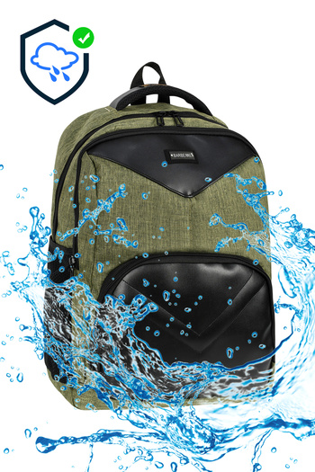 barberri Licensed Waterproof Fabric Unisex School Backpack