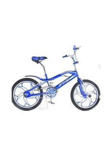 rexa Steel Ride Metallic Bicycle with Disc Brakes – Size 20