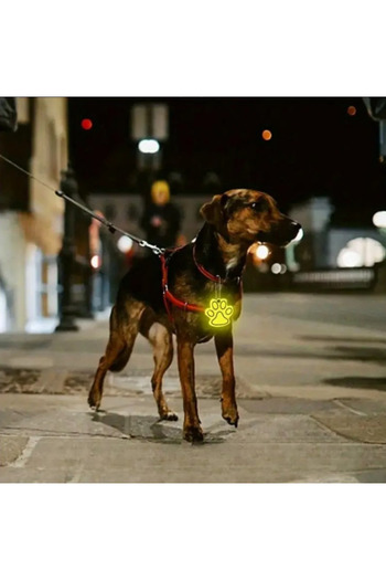 POKAK Cat Dog Bicycle Night Reflector Imprint