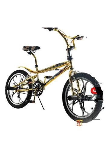 rexa 20-Inch Metallic Bicycle with Front and Rear Disc Brakes – Durable Ride for Kids and Teens