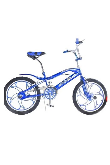 rexa Titan 20" Metallic Bicycle with Disc Brakes – Durable & Smooth Riding