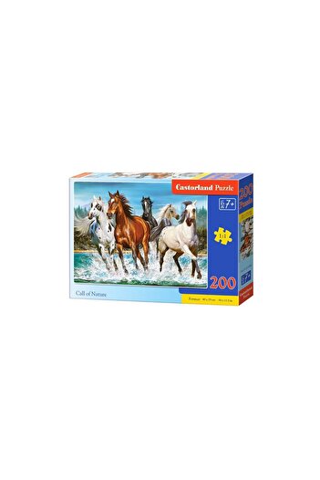 Castorland Puzzle - Call Of Nature, 200 pieces