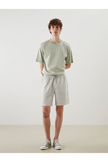LC Waikiki Standard Fit Striped Men's Shorts