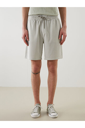 LC Waikiki Standard Fit Striped Men's Shorts