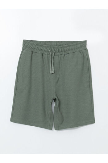 LC Waikiki Standard Fit Men's Shorts