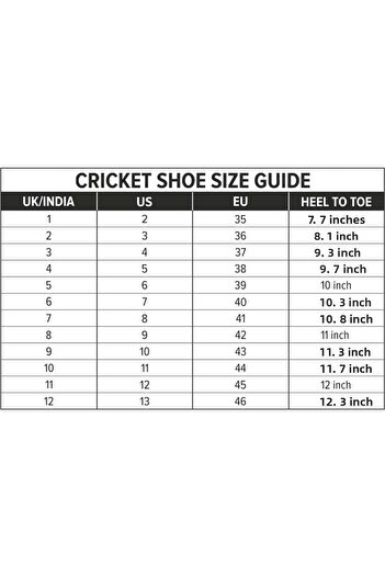 DSC Beamer Cricket Shoes | Grey/White | For Boys and Men | Light Weight | Durable|9 UK, 10 US, 43 EU