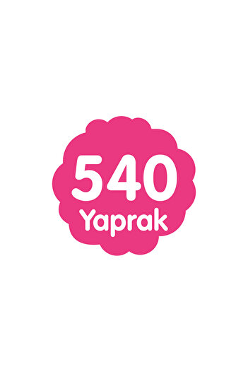 Paddlers Cep Mendili 36x15 li Koli (540 Yaprak)