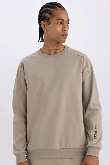 DeFacto Crew Neck Printed Pique Sweatshirt - Standard Fit C9185Ax24Au