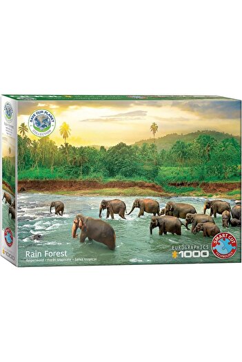 Eurographics Puzzle 1000-Pcs Rainforest 6000-5540