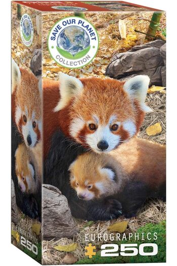 Eurographics Puzzle 250-Pcs Red Pandas 8251-5557