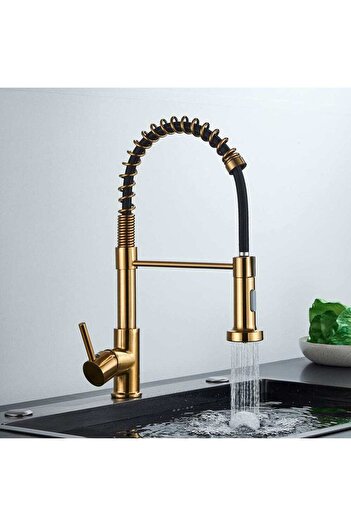 CasaVie Kitchen faucet, gold nickel-plated with black, with 2 flow functions and flexible shower, code 1551