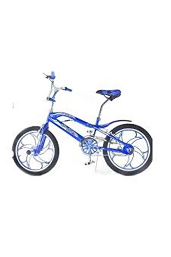 rexa Steel Ride Metallic Bicycle with Disc Brakes – Size 20