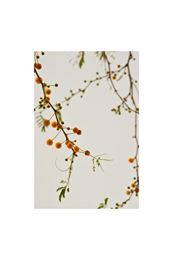 OEM Canvas Painting, "Delicate Twigs with Yellow Flowers", 50 x 90 cm