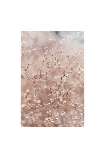 OEM Canvas Painting, "Autumn Rhythms in Fragile Branches", Branches, Buds, Delicate, Faded, Nature, Cone