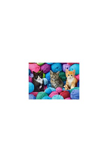 Castorland Puzzle 300 pieces - Kittens in Yarn Store