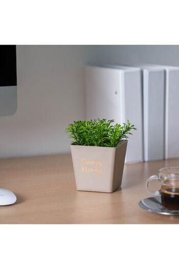 CLICK Decor Artificial Plants Pot with Flowers 10 X 16 Cm 3 Types