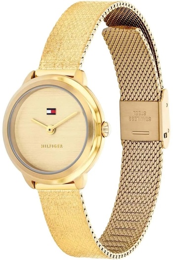 Tommy Hilfiger Th1782811 Women's Wristwatch