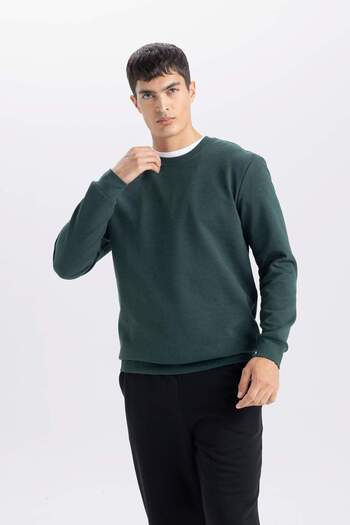 DeFacto Regular Fit Bisiklet Yaka Jakarlı Sweatshirt D5394AX24AU