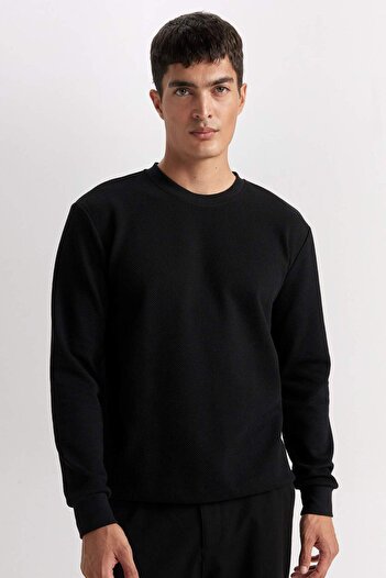 DeFacto Φούτερ με κανονική εφαρμογή Crew Neck Jacquard D5394ax24au