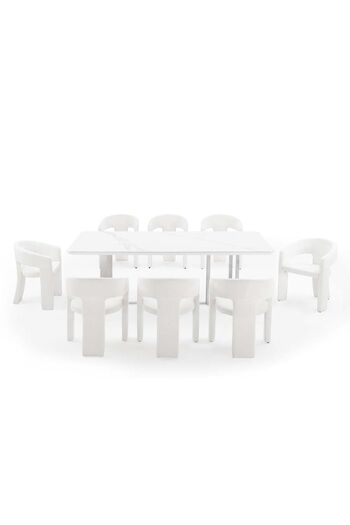 Danube Home Monarch 1 + 8 Seater Dining Set - White/Brushed Silver