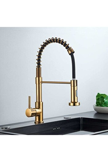 CasaVie Kitchen faucet, gold nickel-plated with black, with 2 flow functions and flexible shower, code 1551