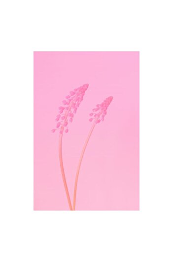 OEM Canvas Painting, 'Delicate Dance in Pastel Pink', 50 x 70cm