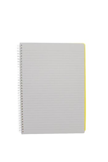 Roco Neon Pineapple Scented Notebook – 480 Sheets