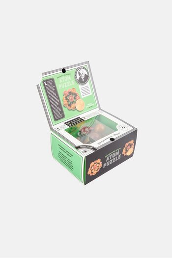 Professor Puzzle Einsteins Relativity Atom Puzzle