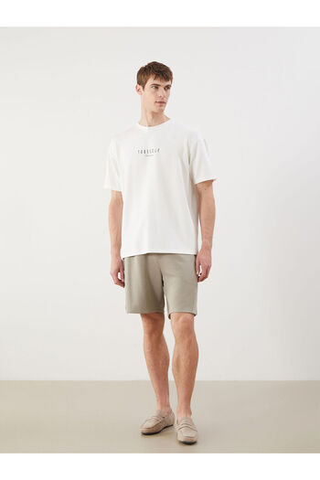LC Waikiki Beige Standard Fit Men's Shorts
