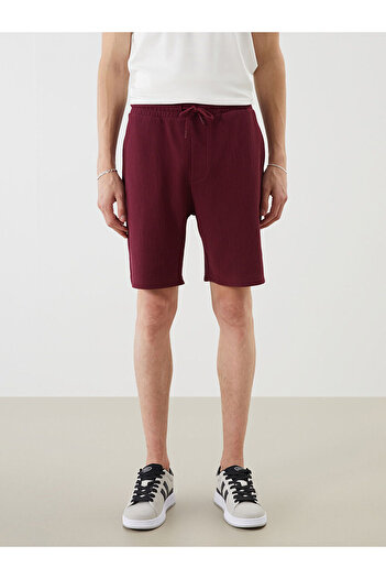 LC Waikiki Standard Fit Men's Shorts