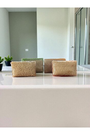 Tpm Natural Handmade Aloe Vera, Donkey Milk, Rose and Rice Pumpkin Fiber Soap Set of 4