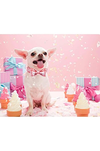 DOGWONG dog collar and bow tie set, cotton/metal, white/pink, size L