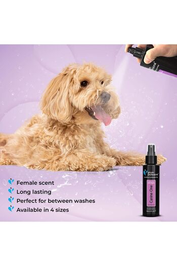 Groom Professional Canine One Cologne Perfume Sweet Female Fragrance 500ml