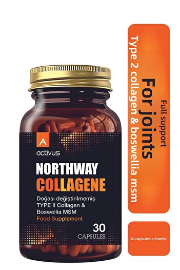 ACTİVUS Northway Collagen Type 2 - Joint Support Full Methylsulfonilmethan Msm Type Ii Knee Elbow Wrist