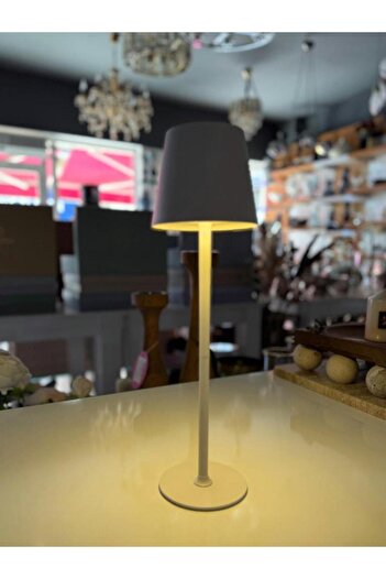 ÇIRPAN EV ŞAPKALI BEYAZ LEDLİ MASA LAMBASI 38CM
