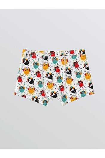 LC Waikiki Lcw Kids Printed Boy Boxer 3-Piece (W5)