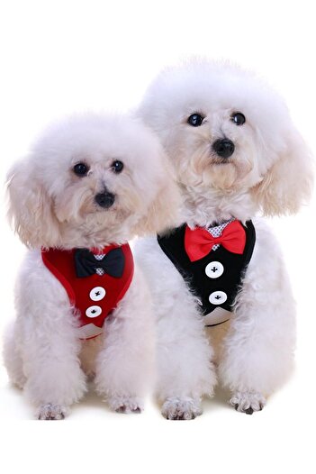 EDA LUXURY BEAUTY 2-Piece Special Dog Cat Luxury Bow Tie Chest Collar & Travel Outfit Small Breed Fancy Pet Leash Set