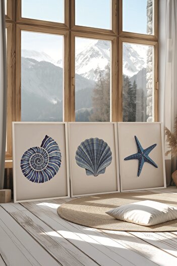 Postifull White Painting Set, 3 Pieces White Framed Poster Seashells Model No:300890, Blue Wall Decor