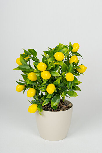 YAPAY ÇİÇEKÇİNİZ Dekoratif 3’lü Set: 100 cm Yapay Benjamin Ağacı + Şoklanmış Okaliptus Demeti + Yapay Limon – Ev & Of